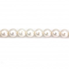 Freshwater cultured pearl, white, round, 9.5-10mm x 40cm