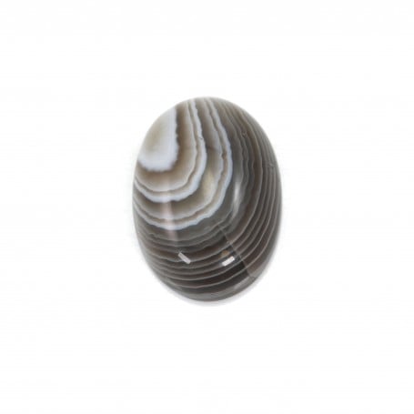 Cabochon agate du boswana, de forme ovale, 13x18mm x 2pcs