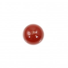 Red agate cabochon, round shape 12mm x 2pcs