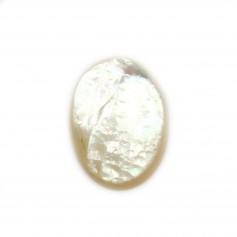 Oval Cabochon 15x20 mm White Mother of Pearl x 1pc