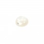 Round cabochon 10mm White Mother-of-Pearl x1
