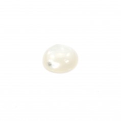 Cabochon redondo 10 mm Mãe de Pérola Branco x 1pc