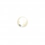 Round cabochon 4mm White Mother-of-Pearl x2