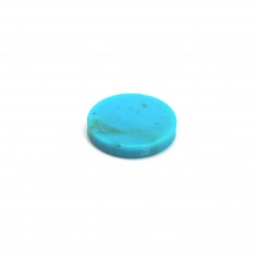 Cabochon Turquoise, forme ronde et plate 10mm x1pc