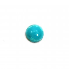 Turquoise cabochon, in round shape 4mm x 1pc