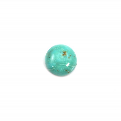 Cabochon Turquoise rond 8mm x1pc