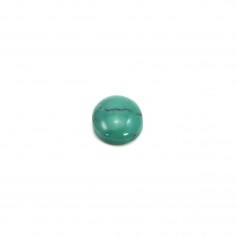 Cabochon Turquoise Ovale 8x10mm x1pc
