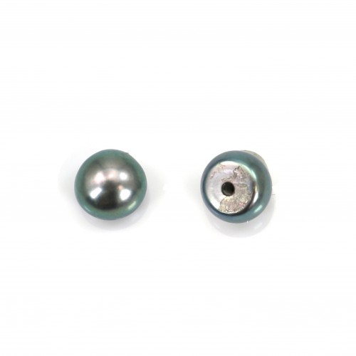 Perla cultivada de agua dulce, semiperforada, azul-gris, botón, 6-6.5mm x 2pcs