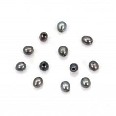 Perle de culture d'eau douce, gris foncé, olive, 4-4.5mm x 2pcs