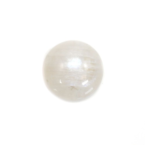 Pietra di luna bianca rotonda cabochon 8 mm x 1 pz