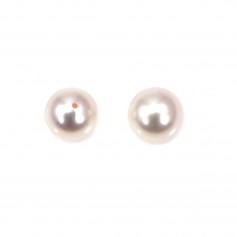 Semi-drilled round japanese AKOYA culture pearl 7.5-8mm x 1pc