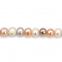 Perle coltivate d'acqua dolce, multicolori, ovali, 7-8 mm x 39 cm