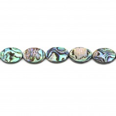 Abalone mother-of-pearl oval beads on thread 13x18mm x 40cm
