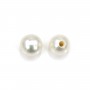 Perles de culture d'eau douce, semi-percée, blanche, ronde, 3.5-4mm x 2pcs