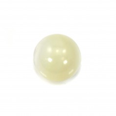 Mother of pearl white, half drilled, round 10mm x 2pcs 