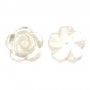 White half-drilled mother-of-pearl flower 20mm x 1pc
