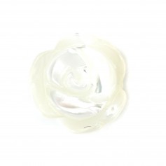 Mãe de Pérola Branca em Semi-Pérola Cor-de-Rosa 8mm x 2pcs