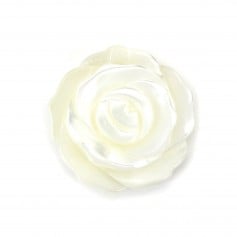 Mãe de Pérola Branca em Semi-Pérola Cor-de-Rosa 15mm x 1pc
