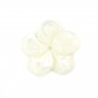 Weißes Perlmutt in Form einer Blume mit 5 Blütenblättern 15mm x 1St