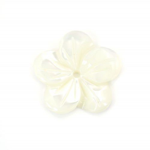 Weißes Perlmutt in Form einer Blume mit 5 Blütenblättern 15mm x 1St