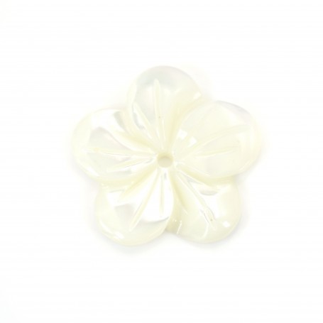 Nacre blanche en forme de fleur à 5 pétales 15mm x 1pc