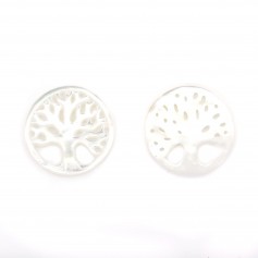 Round white mother of pearl tree of life 17mm x 1pc