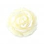 Nacre blanche en rose semi-percée 30mm x 1pc
