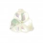 Flor branca mãe de pérola em forma de 3 pétalas 12mm x 1pc