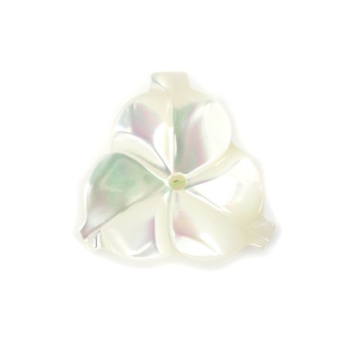 Nácar blanco en forma de flor 3 pétalos 12mm x 1pc