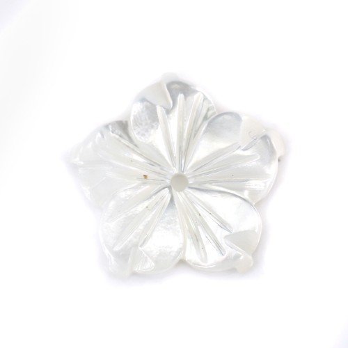 Flor de nácar blanca 5 pétalos 12mm x 1 unidad