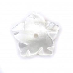 White mother of pearl flower 5 petals 12mm x 1pc