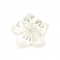 White mother of pearl flower 5 petals 10mm x 1pc