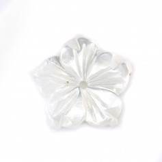 Fiore bianco di madreperla 5 petali 8mm x 1 pz