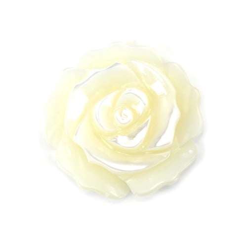 White mother-of-pearl half drilled rose 25mm x 1pc