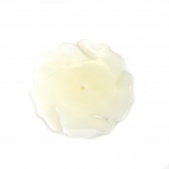 Weißes Perlmutt in Rose halb durchbohrt 25mm x 1St