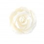 White mother-of-pearl half drilled rose 20mm x 1pc
