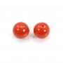 Natural Red Coral round half drilled 7.5-8mm x 1pc