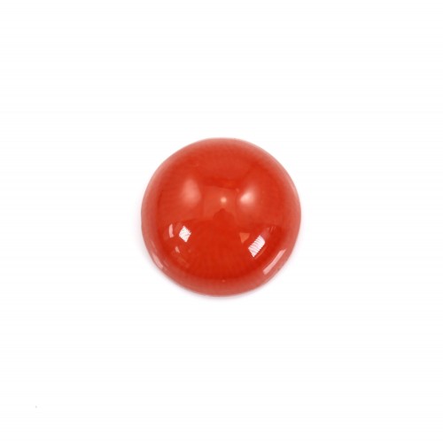 Cabochon Natural Red Coral rund 10mm x 1pc