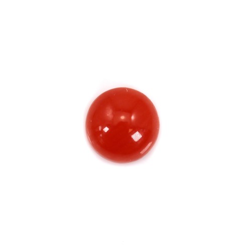 Cabochon Natural Red Coral Round 3-3.5mm x 1pc