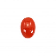 Cabochon Natural Red Coral Oval 4x6mm x 1pc
