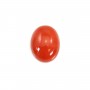 Cabochon Corail rouge Naturel ovale 8x10mm x 1pc