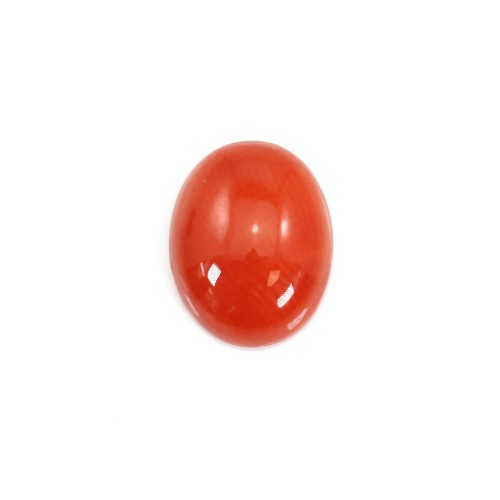 Natural Red Coral Cabochon Oval 4x6mm x 1pc