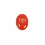 Cabochon Corail rouge Naturel ovale 6x8mm x 1pc