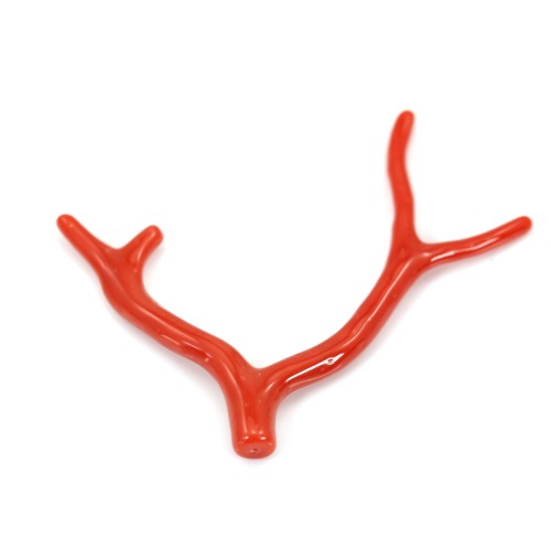 Natural Red Coral Branch 30-50mm x 1pc