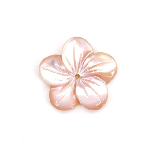 Pink mother-of-pearl 5 petal flower 15mm x 1pc