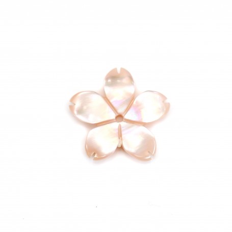 Pink mother-of-pearl 5 petal flower 10mm x 1pc