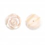 Nacre rose semi-percée en forme de rose 20mm x 1pc