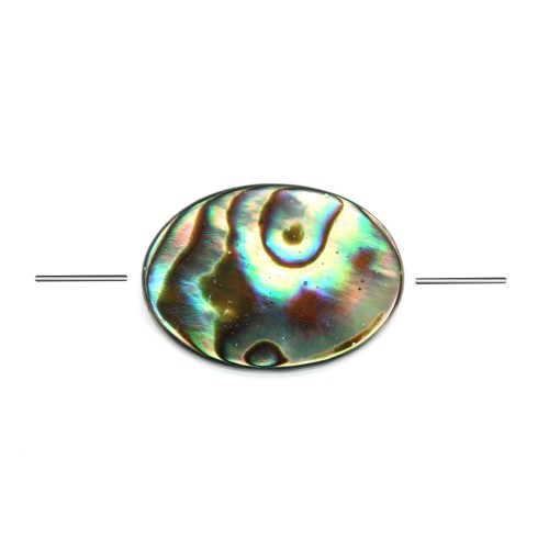 Nacre d'ormeau de forme ovale 13x18mm x 2pcs