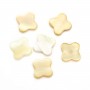 Yellow mother-of-pearl clover beads 12mm x 2pcs