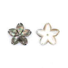 5 petals grey mother of pearl flower 8mm x 1pc